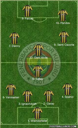 Fenerbahçe SK Formation 2016