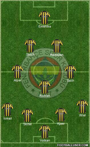 Fenerbahçe SK Formation 2016