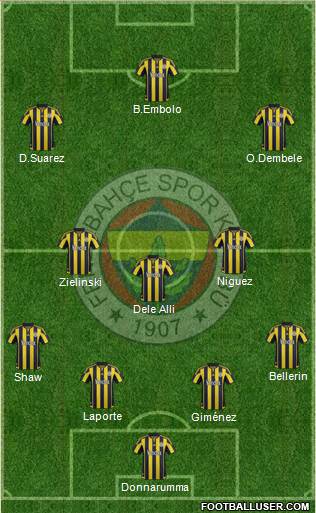 Fenerbahçe SK Formation 2016
