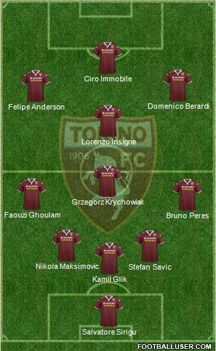 Torino Formation 2016