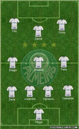 SE Palmeiras Formation 2016