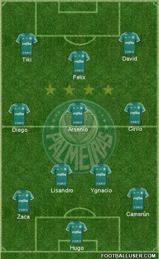 SE Palmeiras Formation 2016
