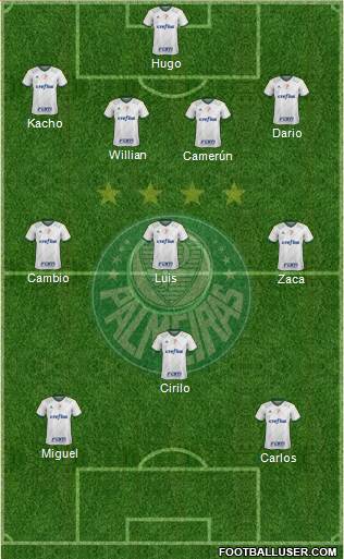 SE Palmeiras Formation 2016