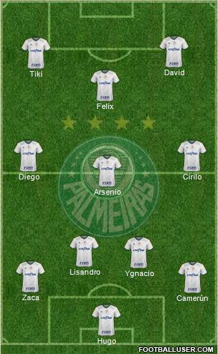 SE Palmeiras Formation 2016