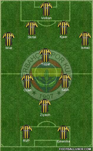 Fenerbahçe SK Formation 2016