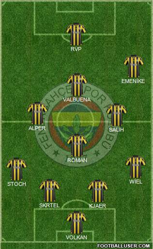 Fenerbahçe SK Formation 2016