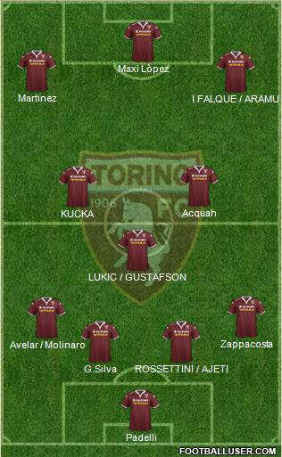 Torino Formation 2016