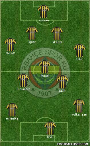 Fenerbahçe SK Formation 2016