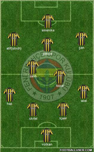 Fenerbahçe SK Formation 2016