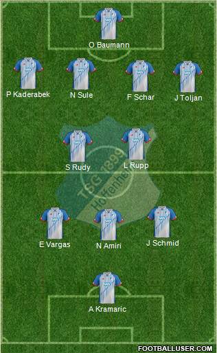 TSG 1899 Hoffenheim Formation 2016