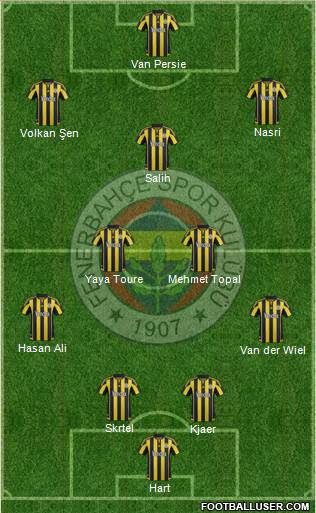 Fenerbahçe SK Formation 2016