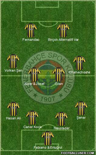 Fenerbahçe SK Formation 2016