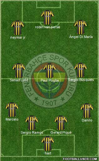 Fenerbahçe SK Formation 2016