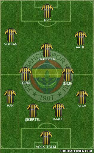 Fenerbahçe SK Formation 2016