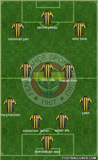 Fenerbahçe SK Formation 2016