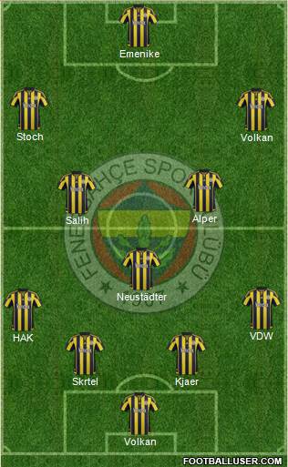 Fenerbahçe SK Formation 2016