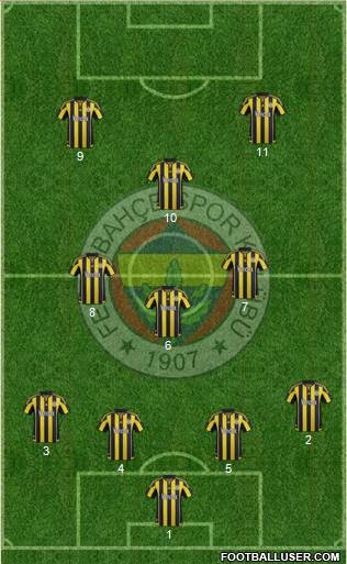 Fenerbahçe SK Formation 2016