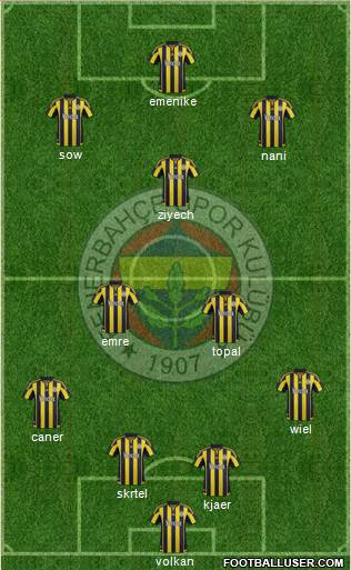 Fenerbahçe SK Formation 2016