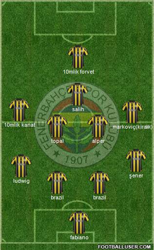 Fenerbahçe SK Formation 2016