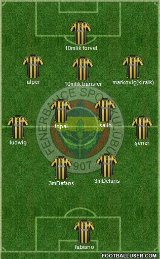 Fenerbahçe SK Formation 2016