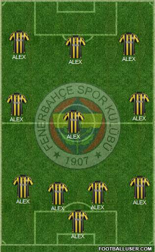 Fenerbahçe SK Formation 2016