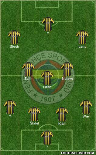 Fenerbahçe SK Formation 2016
