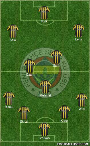 Fenerbahçe SK Formation 2016
