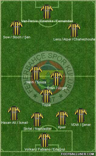 Fenerbahçe SK Formation 2016