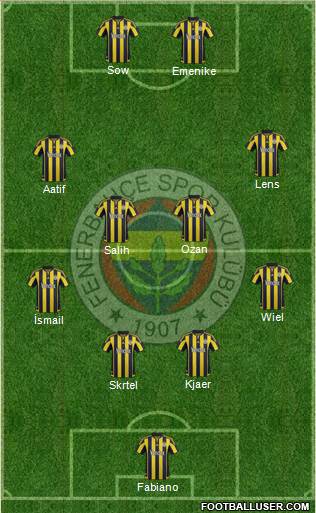 Fenerbahçe SK Formation 2016