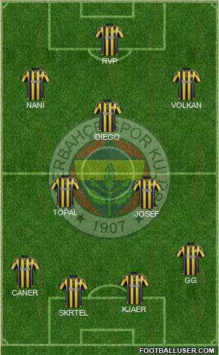 Fenerbahçe SK Formation 2016