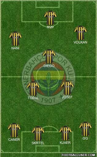Fenerbahçe SK Formation 2016