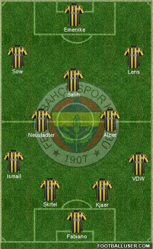 Fenerbahçe SK Formation 2016