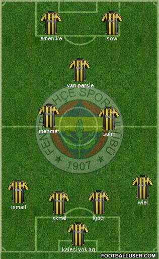 Fenerbahçe SK Formation 2016
