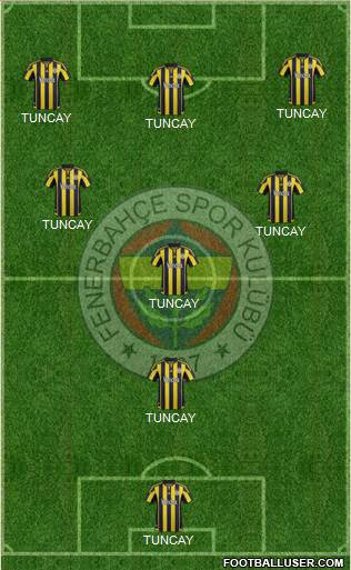 Fenerbahçe SK Formation 2016