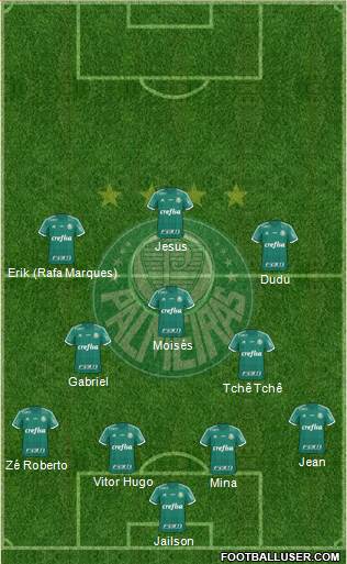 SE Palmeiras Formation 2016