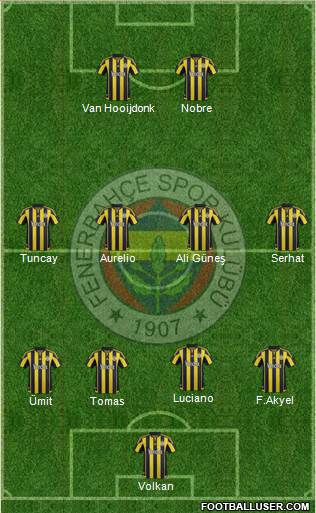 Fenerbahçe SK Formation 2016