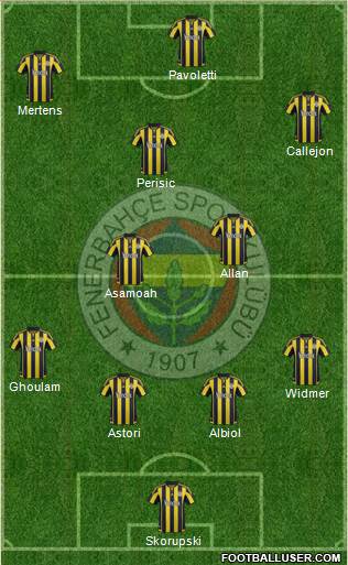 Fenerbahçe SK Formation 2016