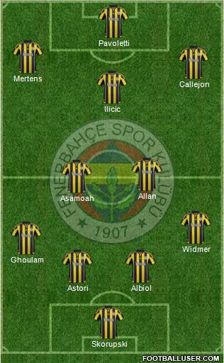 Fenerbahçe SK Formation 2016