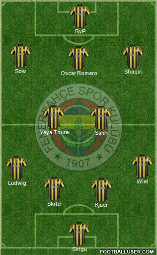Fenerbahçe SK Formation 2016