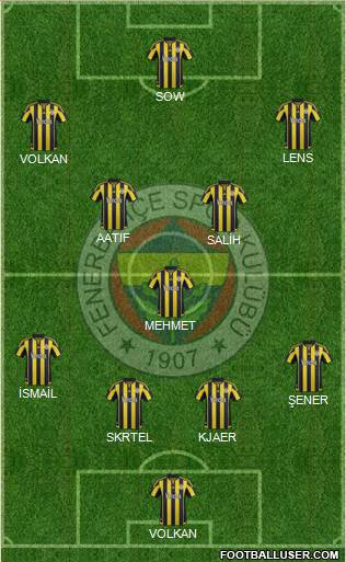 Fenerbahçe SK Formation 2016