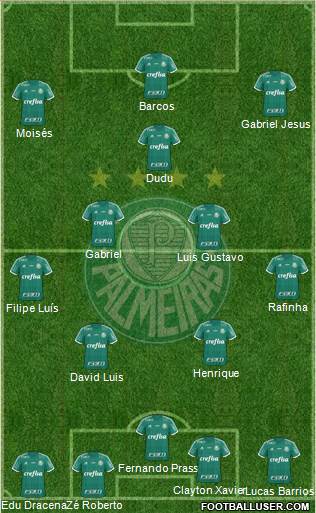 SE Palmeiras Formation 2016
