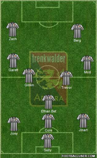 FC Admira Wacker Formation 2016