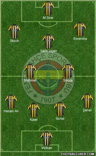 Fenerbahçe SK Formation 2016