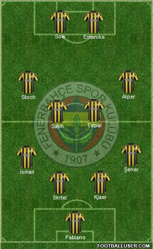 Fenerbahçe SK Formation 2016
