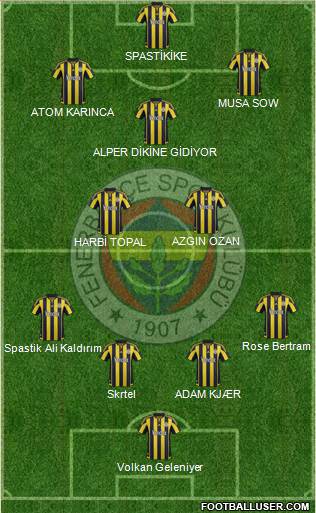 Fenerbahçe SK Formation 2016