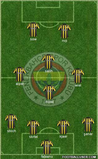Fenerbahçe SK Formation 2016