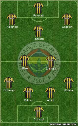Fenerbahçe SK Formation 2016