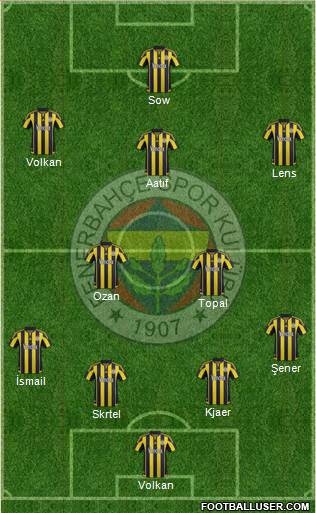 Fenerbahçe SK Formation 2016