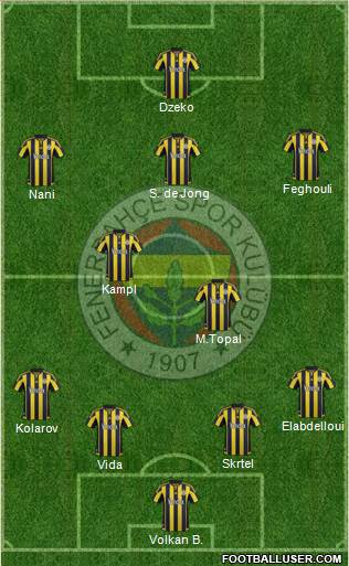 Fenerbahçe SK Formation 2016