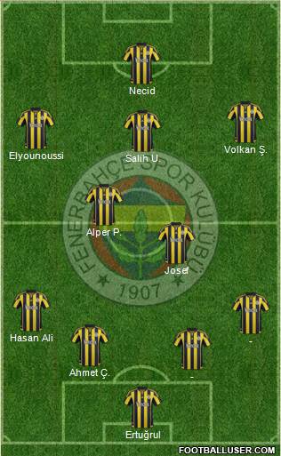 Fenerbahçe SK Formation 2016